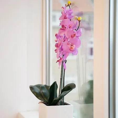 Kiel, Renovierte Innenstadtwohnung, 24h Check-in, 2 Kostenlose Fahrraeder * Kiel