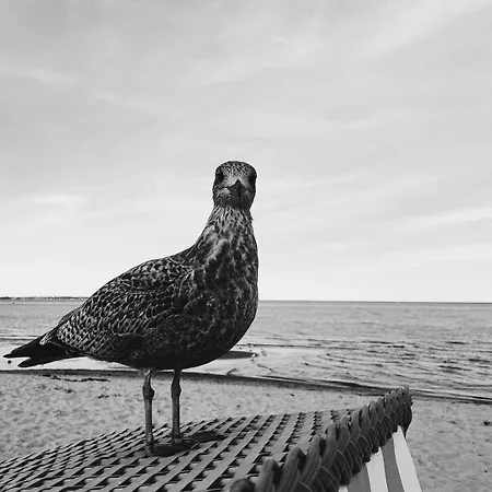 Kiel, Renovierte Innenstadtwohnung, 24h Check-in, 2 Kostenlose Fahrraeder *